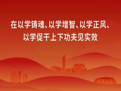 “学习宣传贯彻习近平总书记视察广东重要讲话、重要指示精神”主题宣传画6
