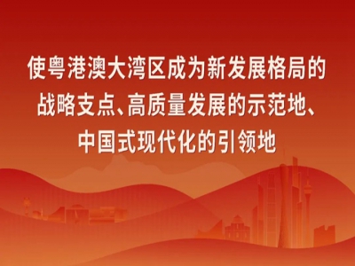 “学习宣传贯彻习近平总书记视察广东重要讲话、重要指示精神”主题宣传画5
